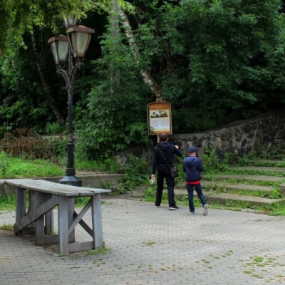 Galician (Starostynskyi) castle, Halych