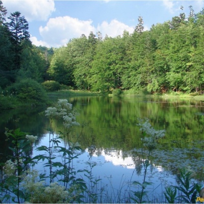 Mountain Polyanytske Lake (Dead Lake)