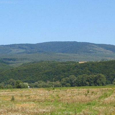 Mount Antalovetska Polyana