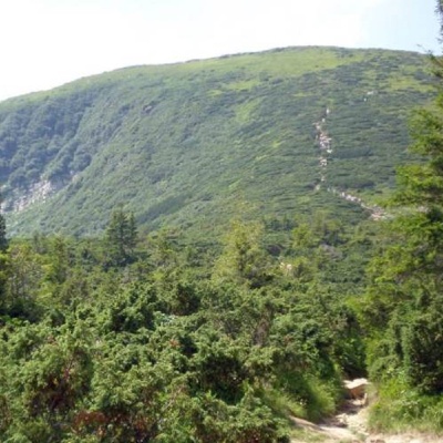 Mount Bushtul
