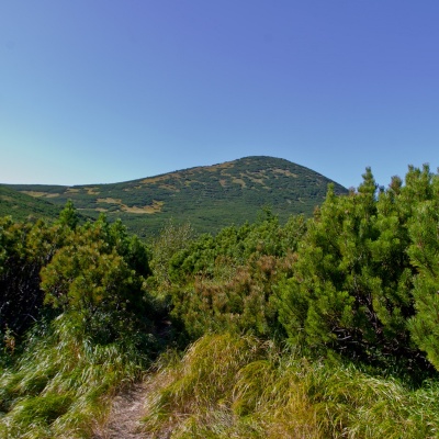 Mount Gomul