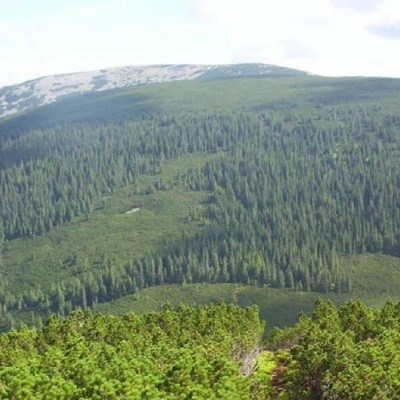 Mount Koretvina