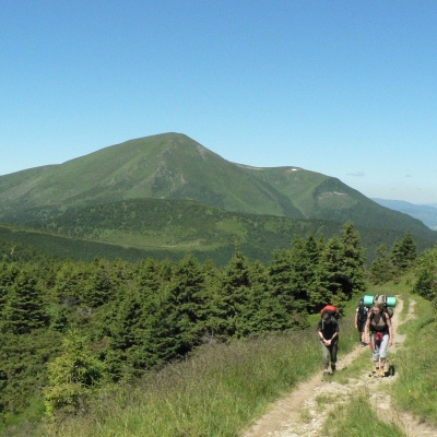 Mount Petrosul
