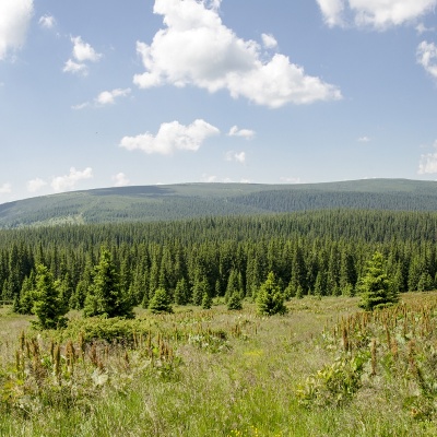 Mount Purul