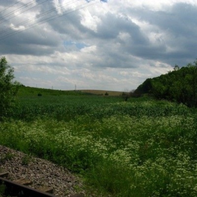 Sovitsky marshes landscape reserve