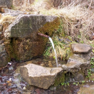 Mineral spring, Shevchenkove