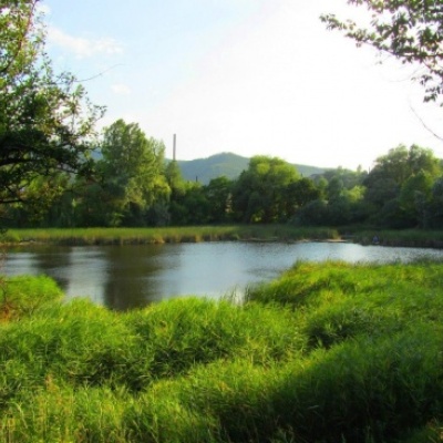 City Lake Banske (Kosiv)