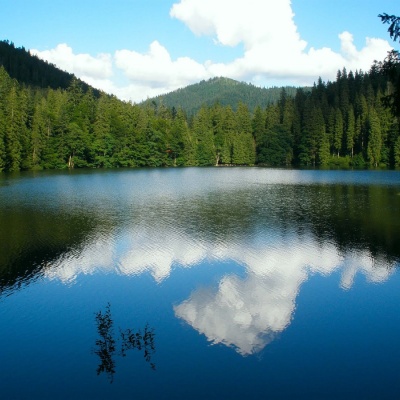 'Synevyr Lake Synevyrska Polyana