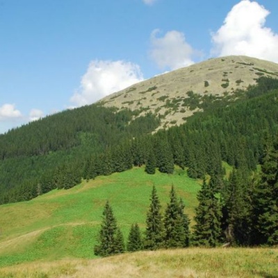 Polonyna Blazhiv