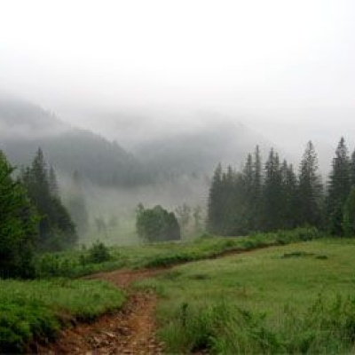 Nature Reserve 'Horgany', Nadvirna