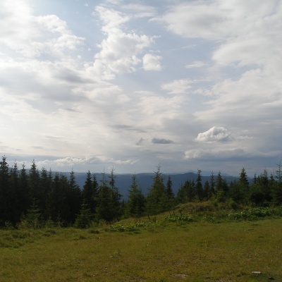 Black Dil Nature Reserve Sarata