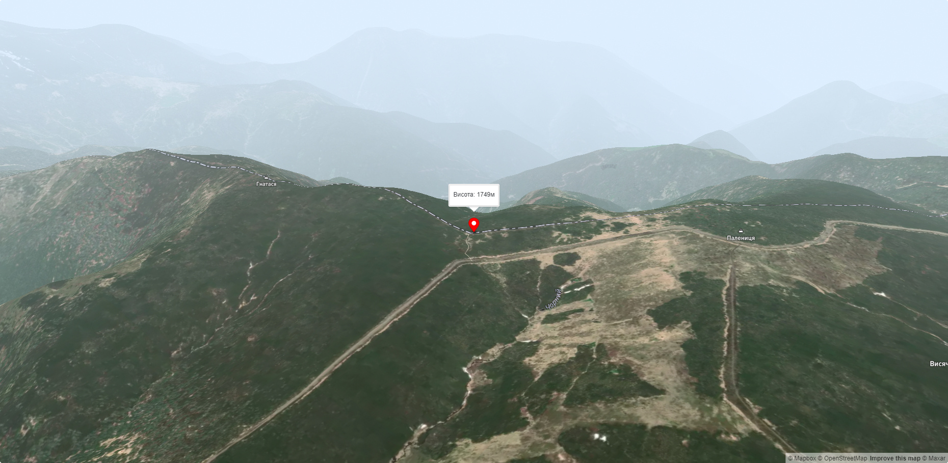 Гора Палениця