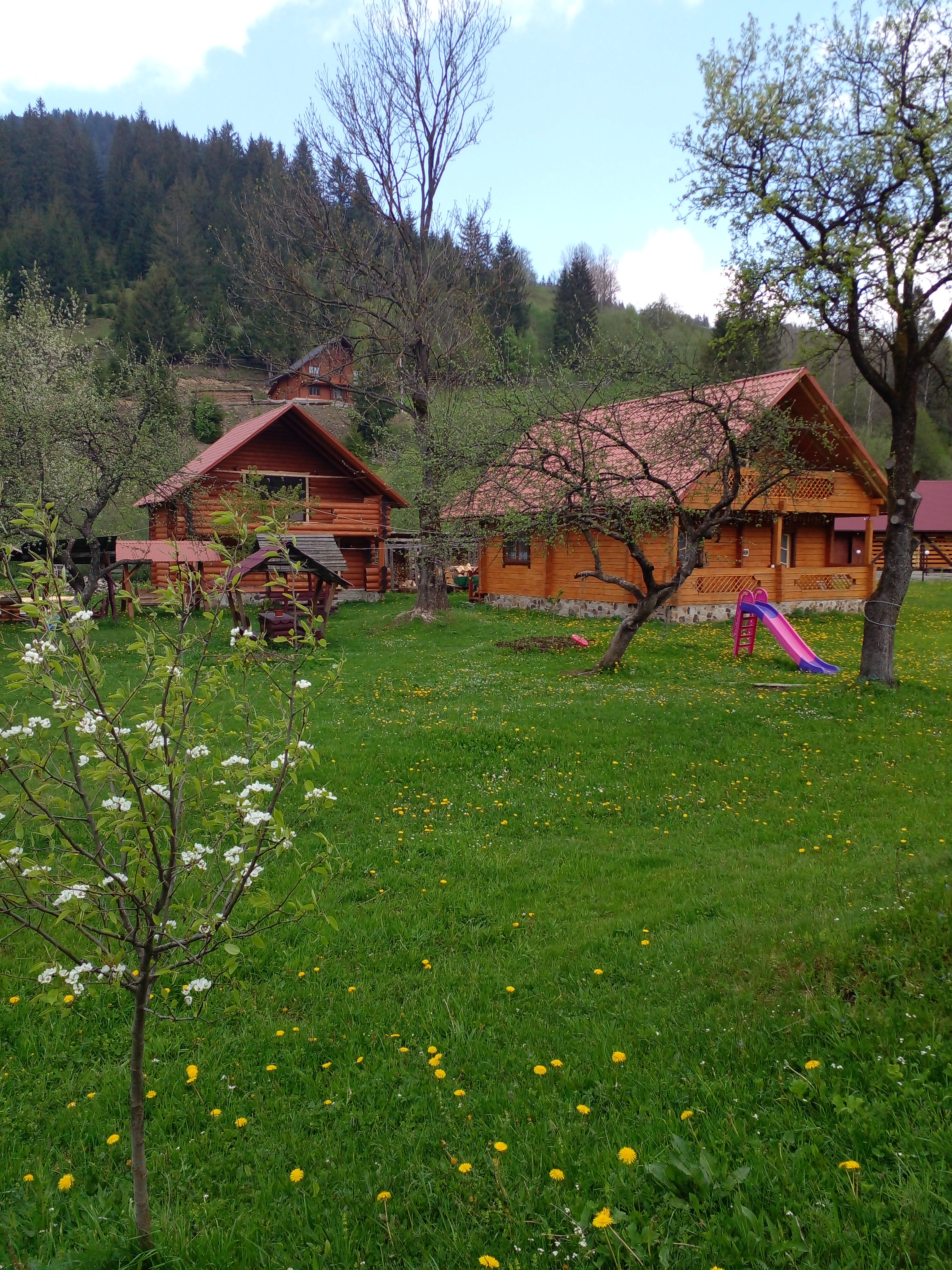 Садиба 'Квітка Ґорґан' тел.0988309413