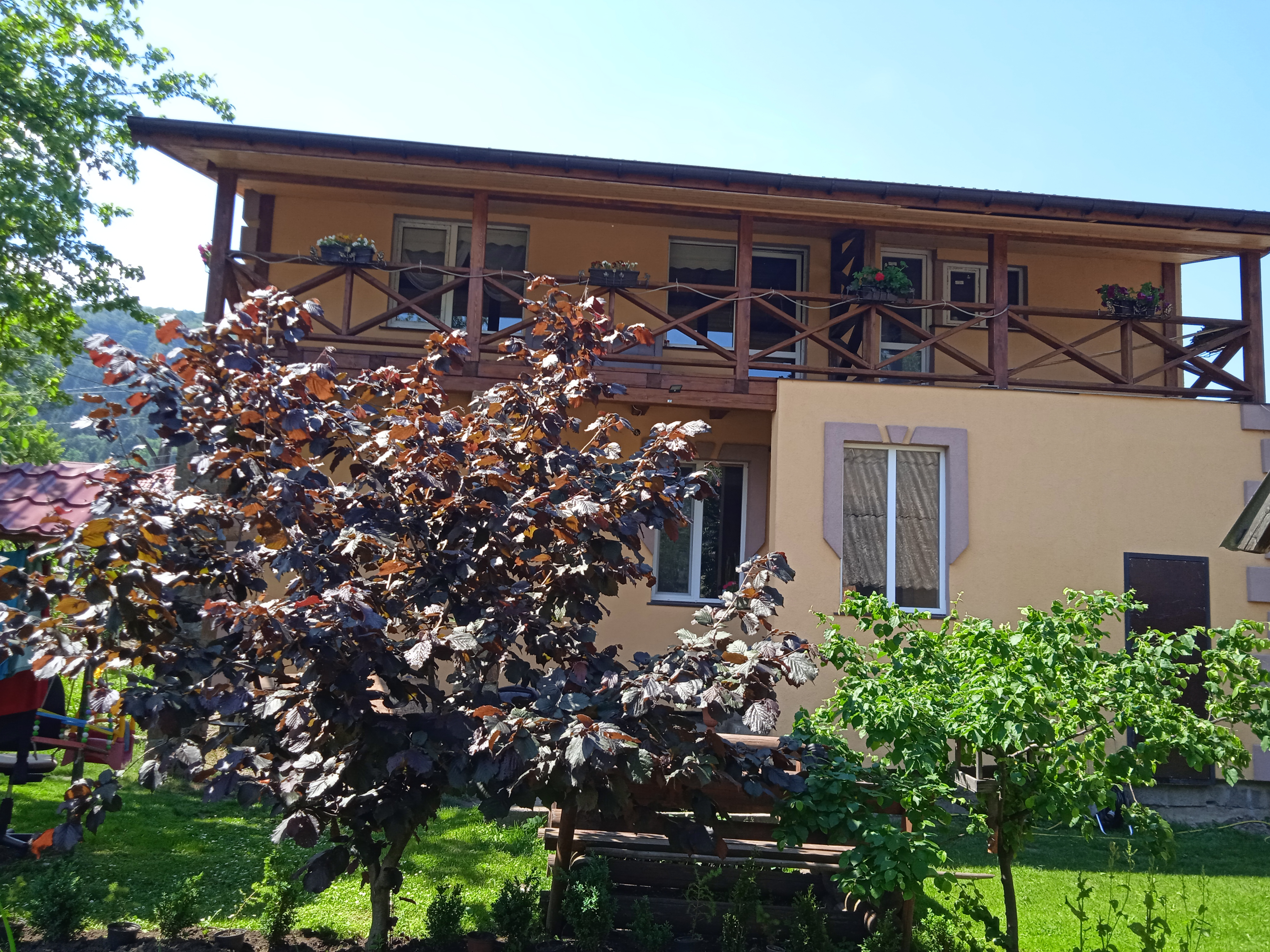 Файні Газди