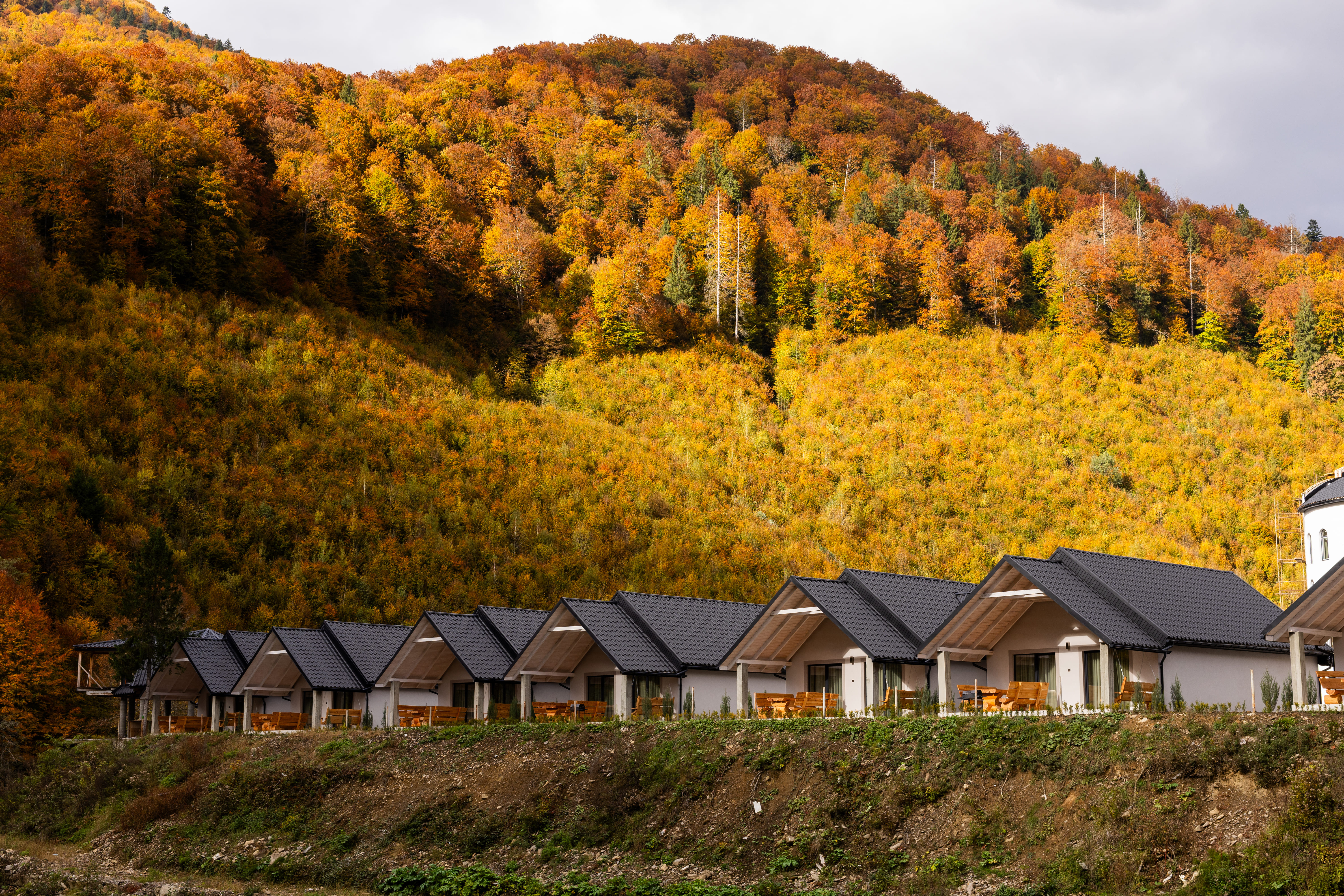 Котеджі Mizhhirya Mountain Resort