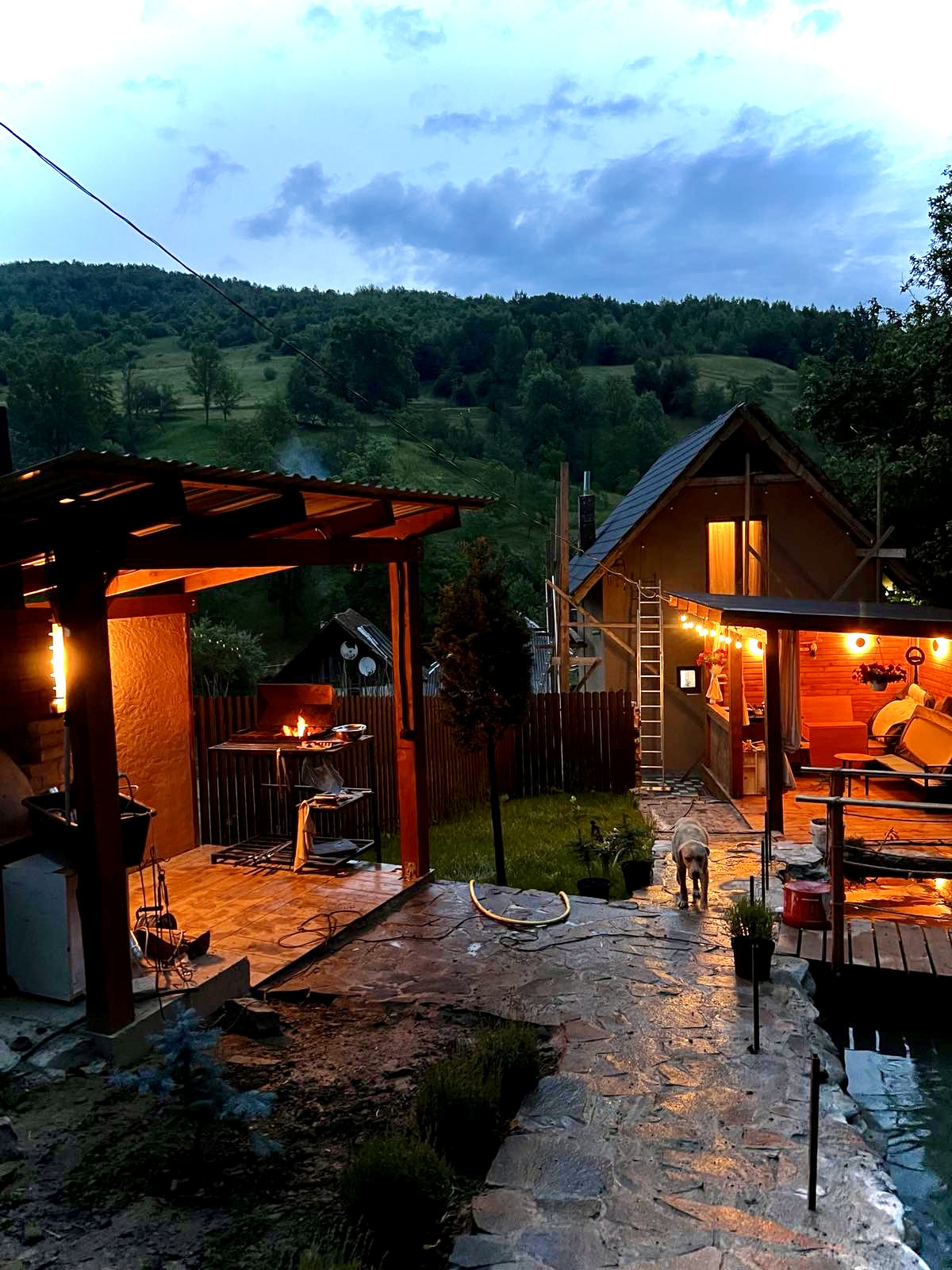 Приватна садиба «Forest House»