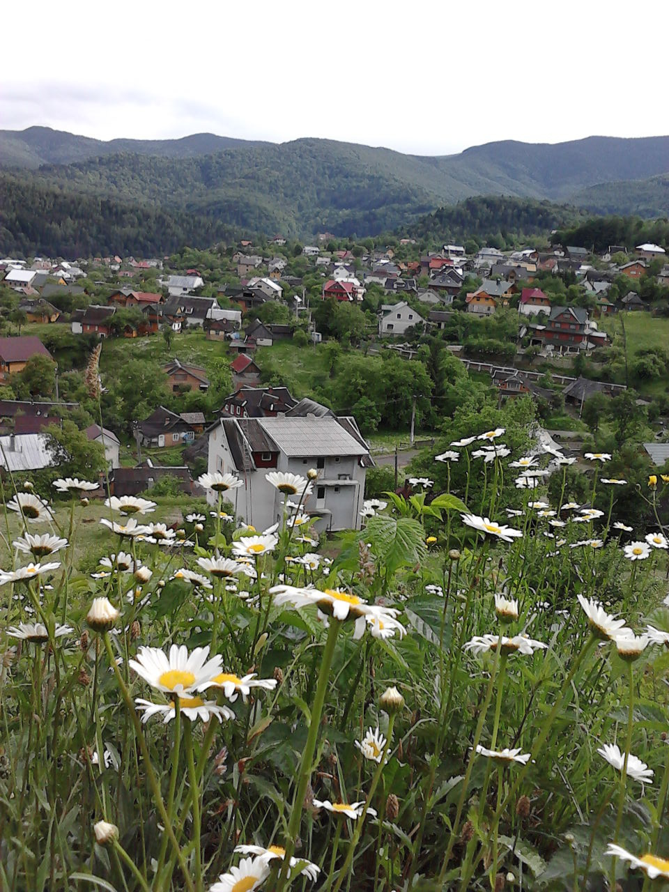 Садиба ГУЦУЛОЧКА