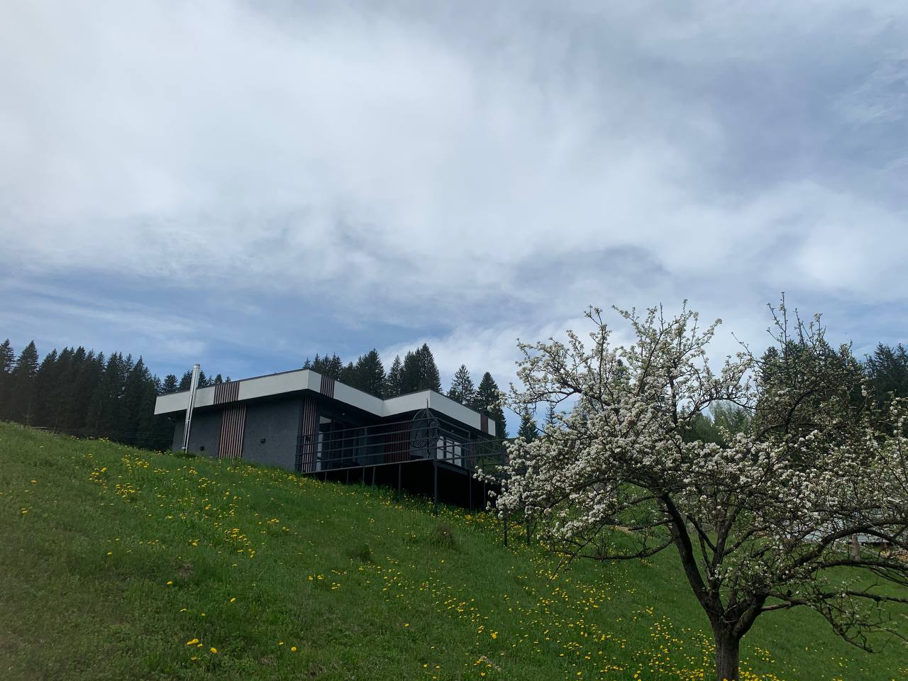 Відпочинок в Карпатах