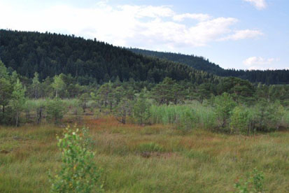 Маршрутом Карпатського трамвая