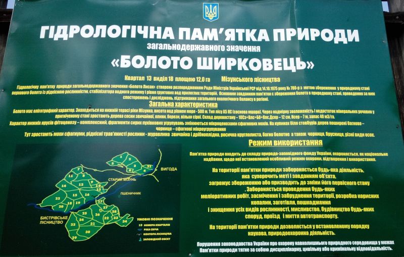 Болото Ширковець біля Нового Мізуня