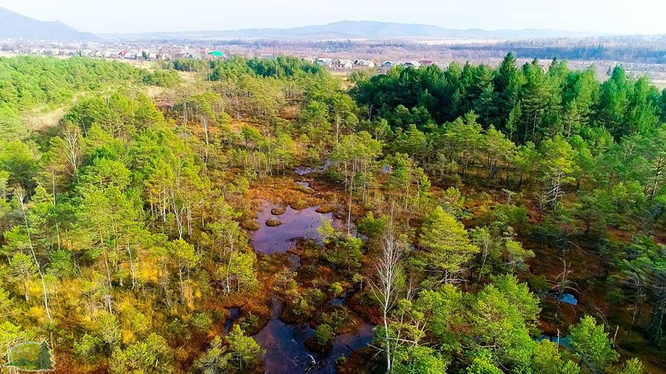 Болото Ширковець село Новий Мізунь