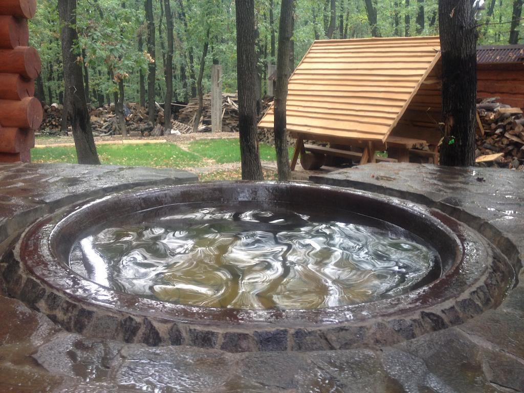 Чан в готельно-розважальному комплексі Praha Wood House Ужгород