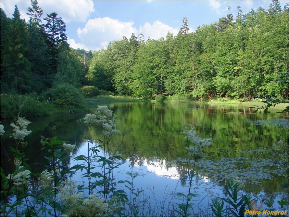 Гірське озеро або Мертве село Буковець