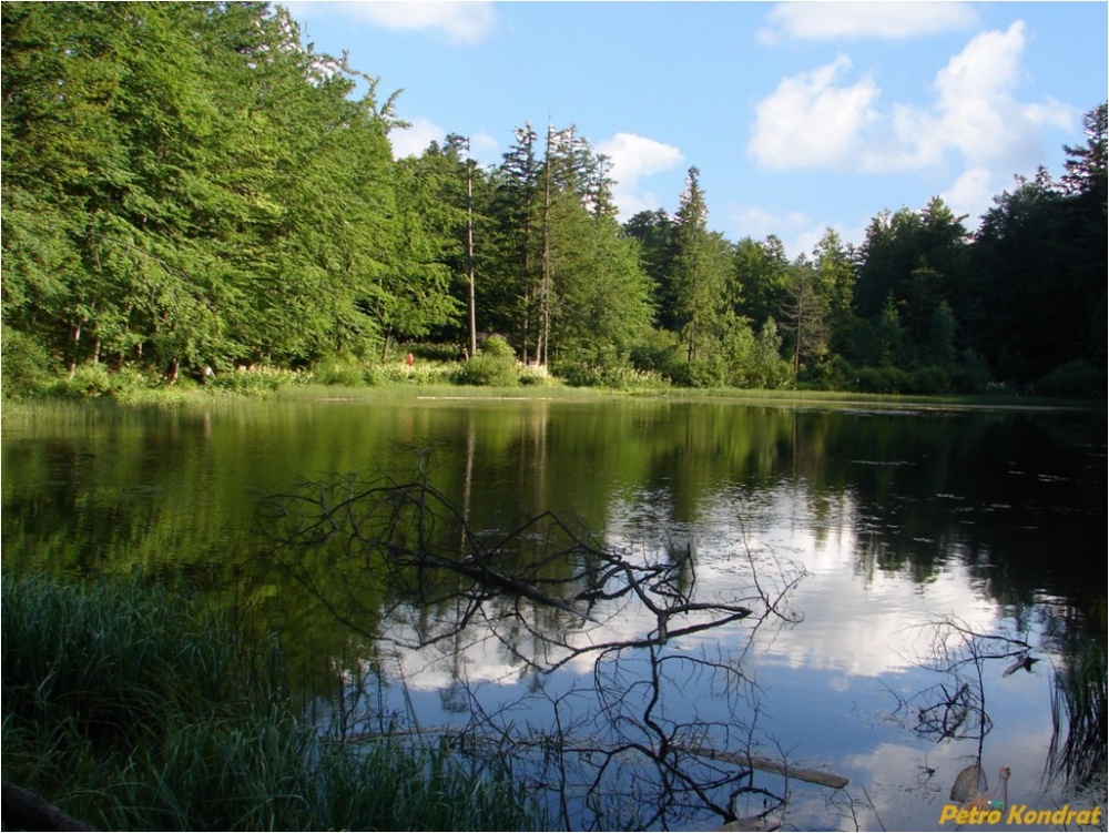 Гірське Поляницьке озеро або Мертве біля села Буковець