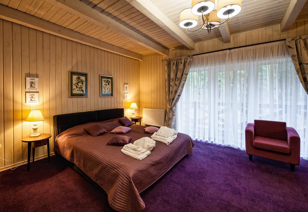 Номер Люкс в Готелі Ольга Делюкс Татарів