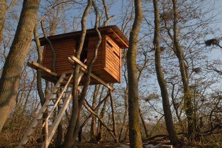 Оглядовий майданчик на вершині  Касової гори