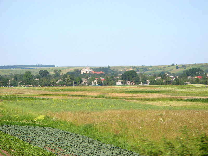 панорама селища Більшівці