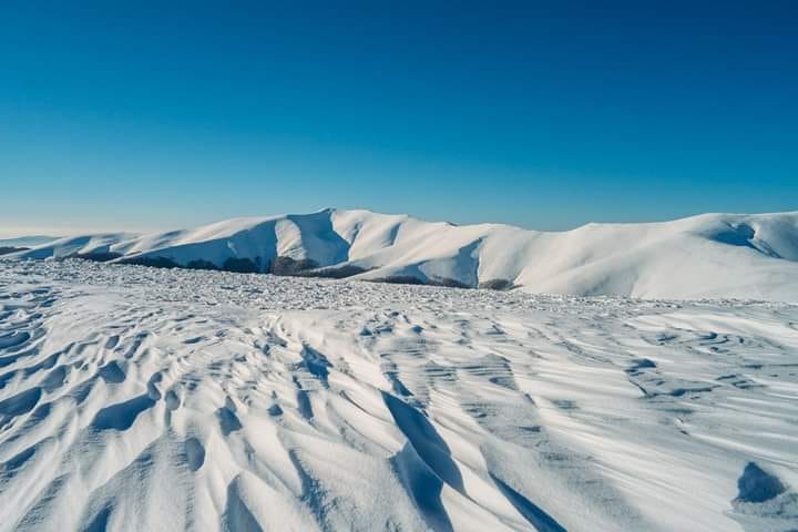 Засніжена Полонина Боржава Пилипець