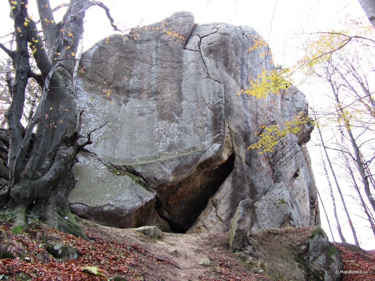 Протяте каміння Путильський район