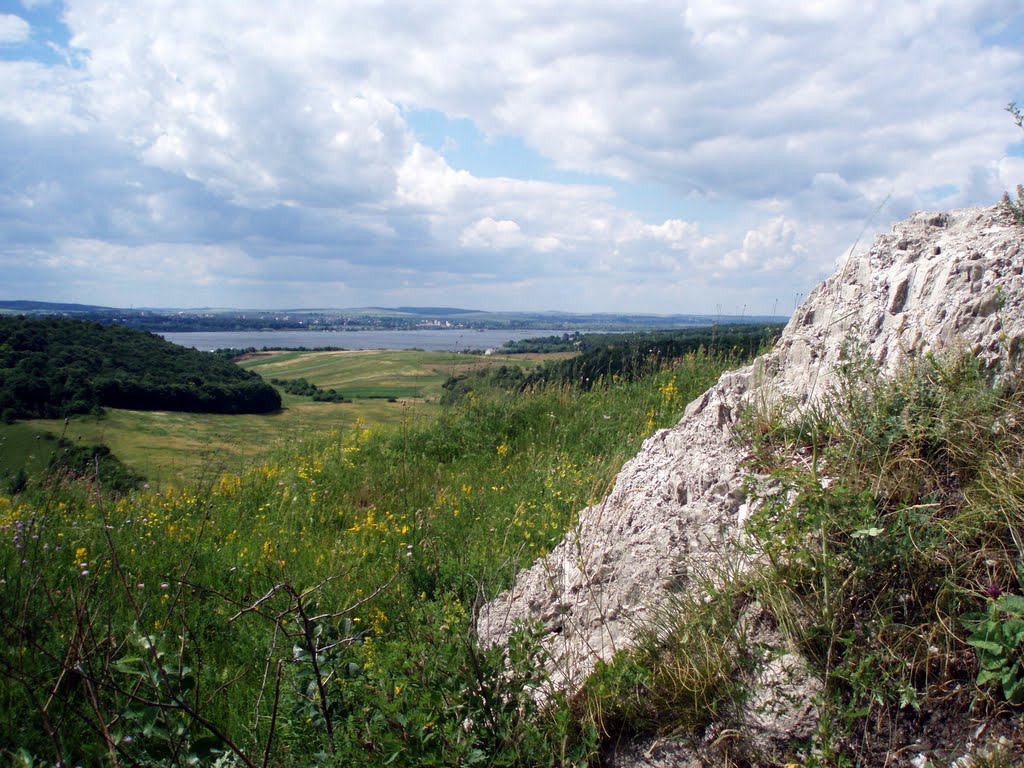 Вид на село Бовшів з Касової гори
