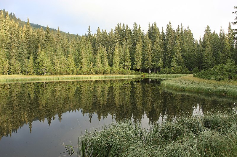 Високогірне озеро Маріче́йка 1510 метрів