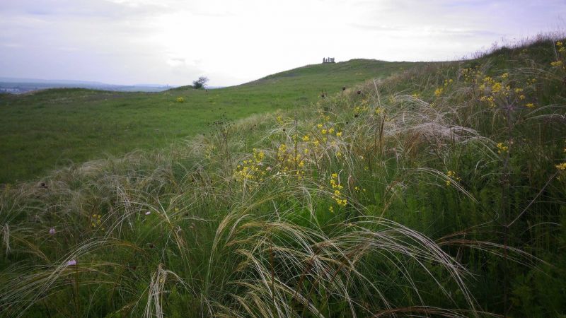 Заповідник Касова гора в селі Бовшів