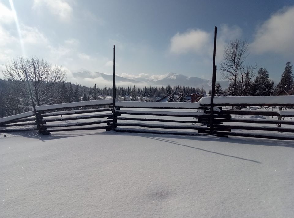 Зимові краєвиди біля котеджу "Завжди раді"