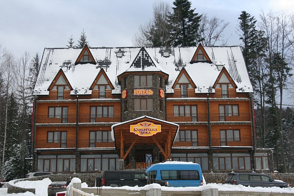 Готель 'Карпатська Вежа' Мигово (басейн+сауна)