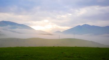 Берегівське низькогір'я
