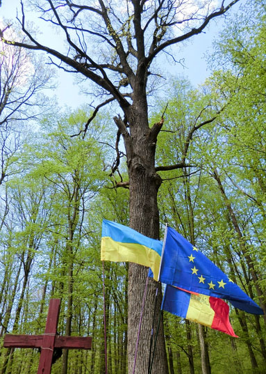 Дуб Штефана чел Маре, Валя Кузьмина