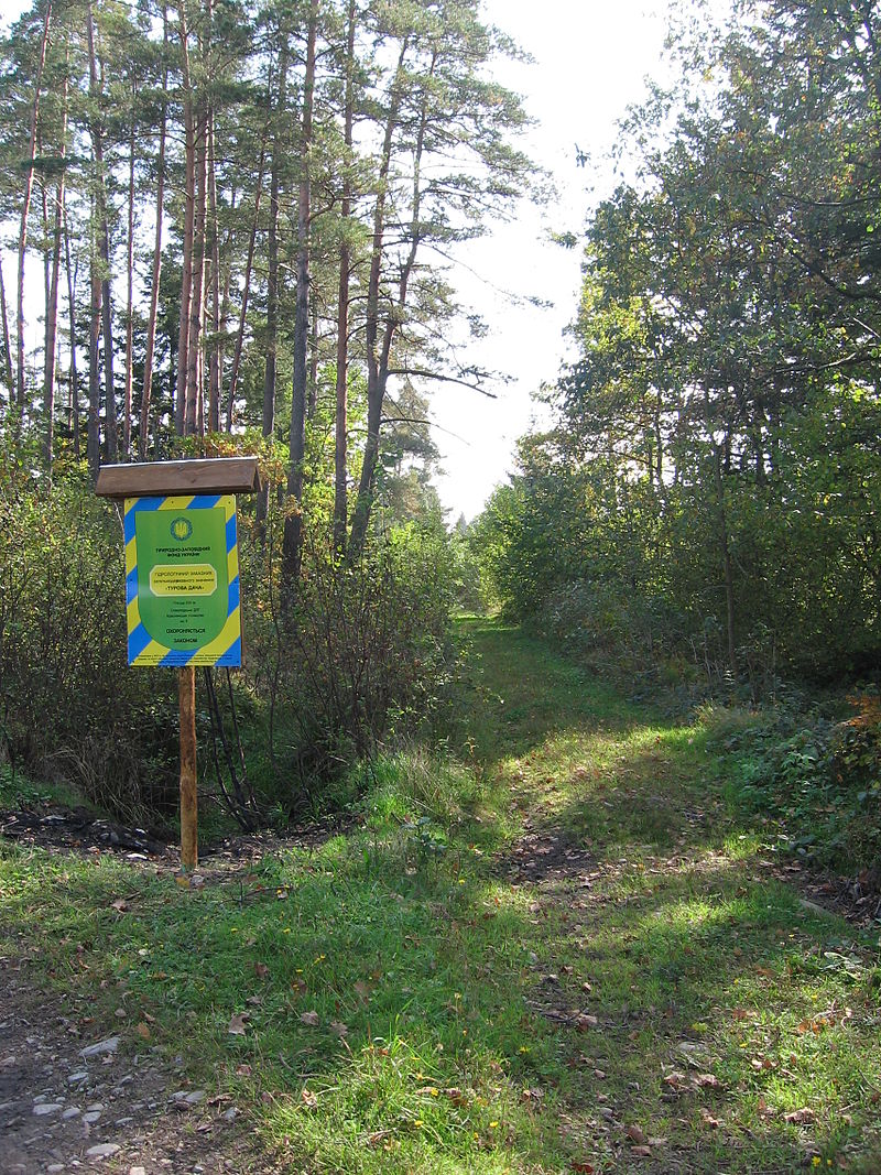 Гідрологічний заказник 'Турова Дача'