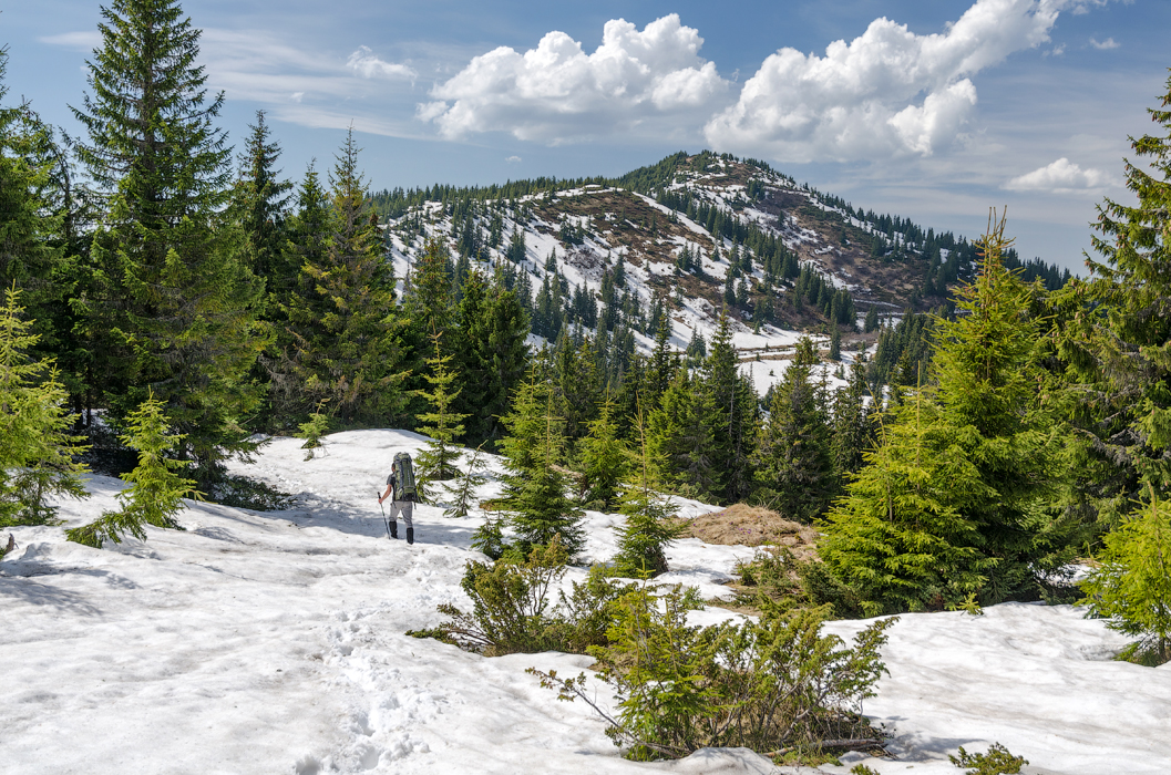 Гора Бирсенеску