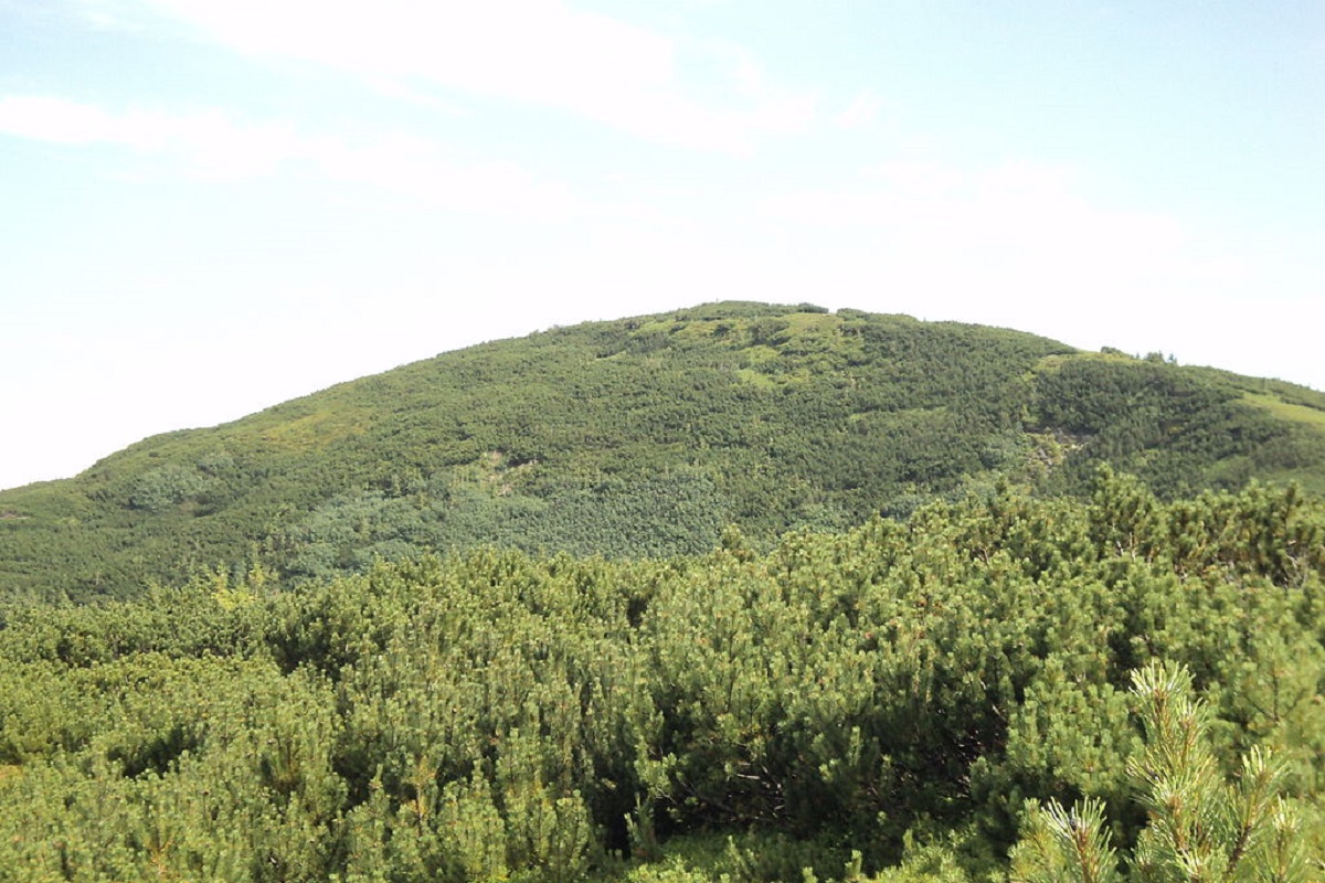 Гора Чорна Клева