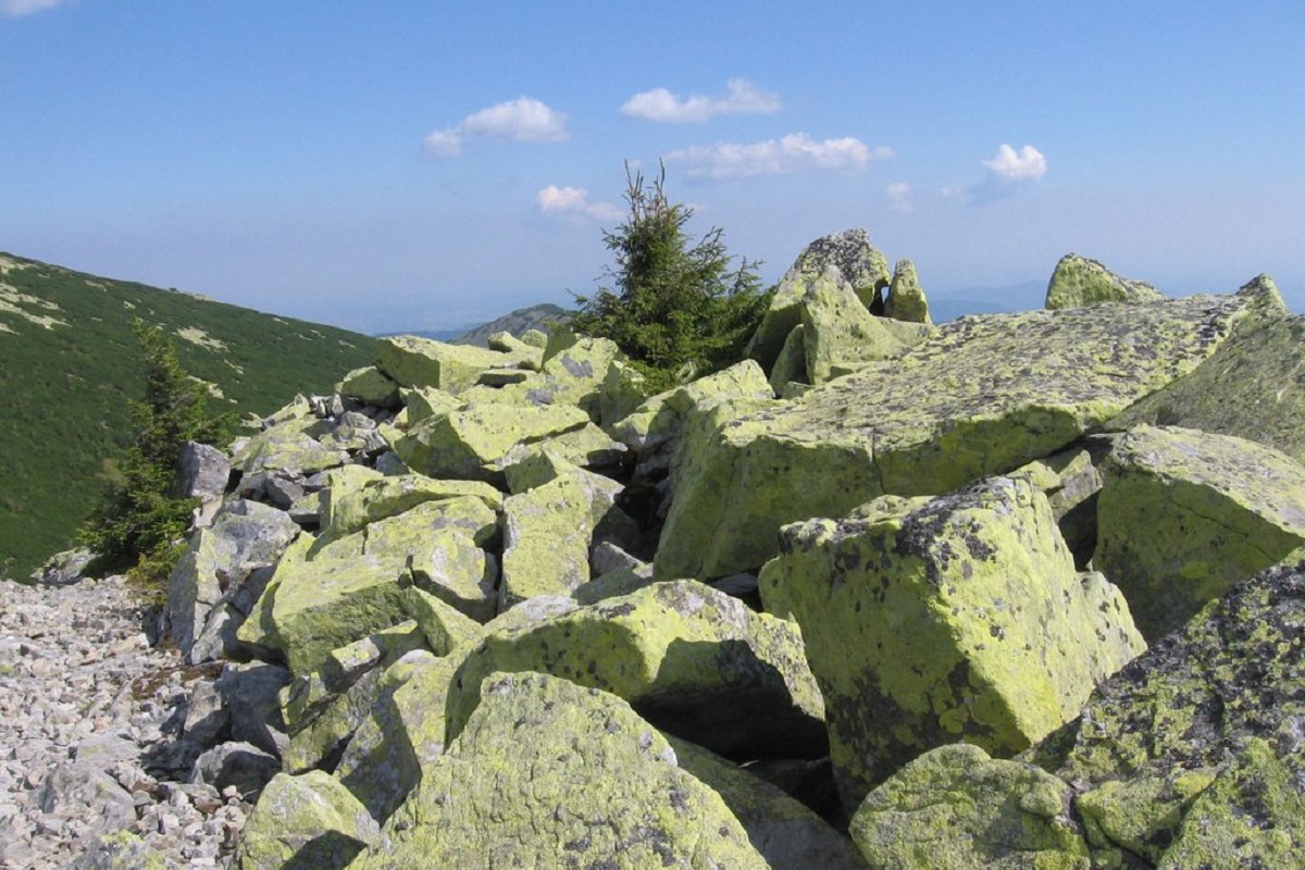 Гора Ігровець