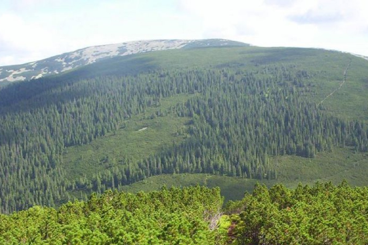 Гора Коретвина