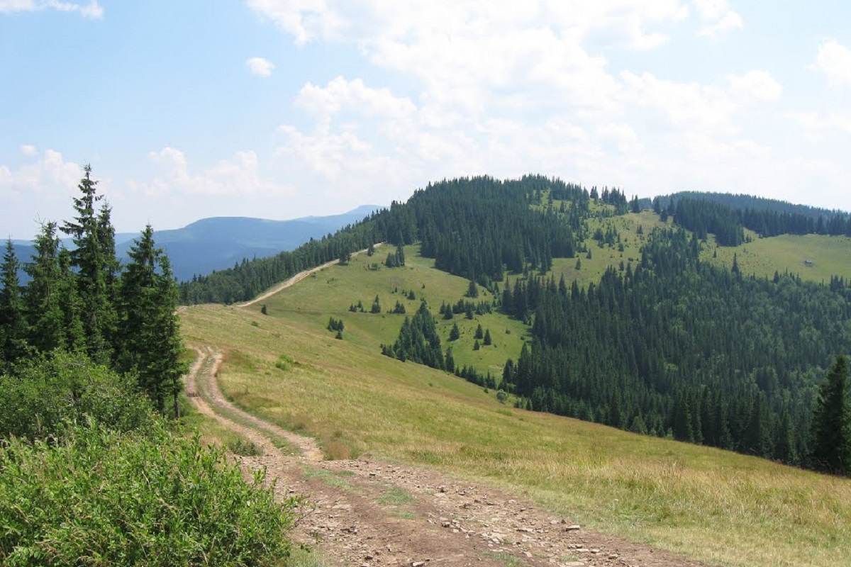 Гора Ліснів