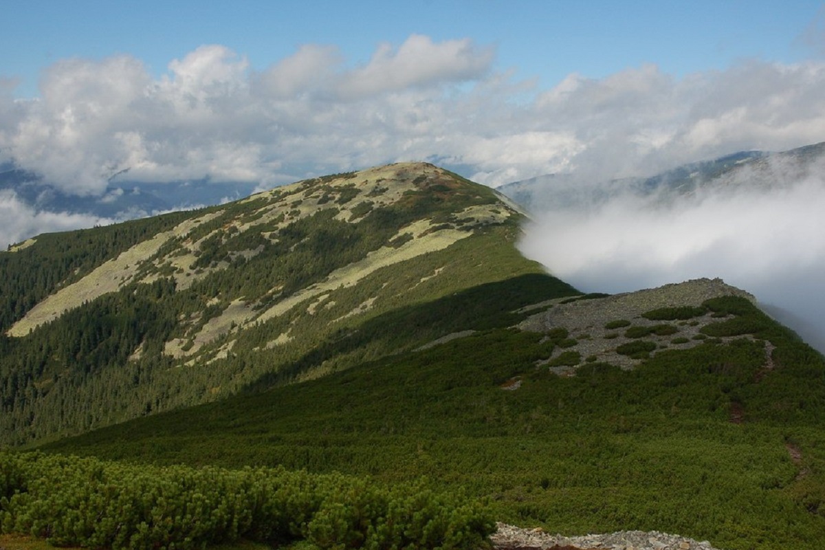 Гора Лопушна