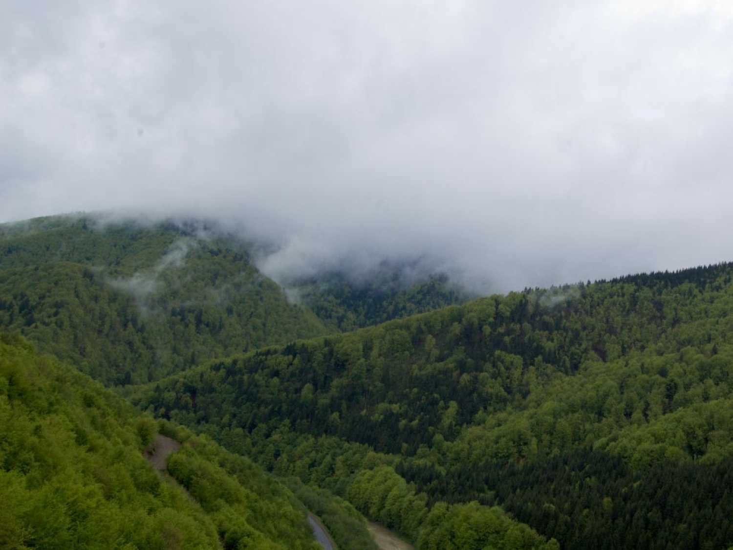 Гора Маковиця