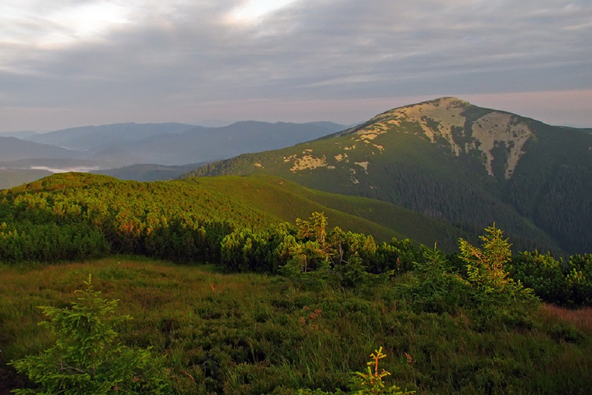 Гора Велика Попадя