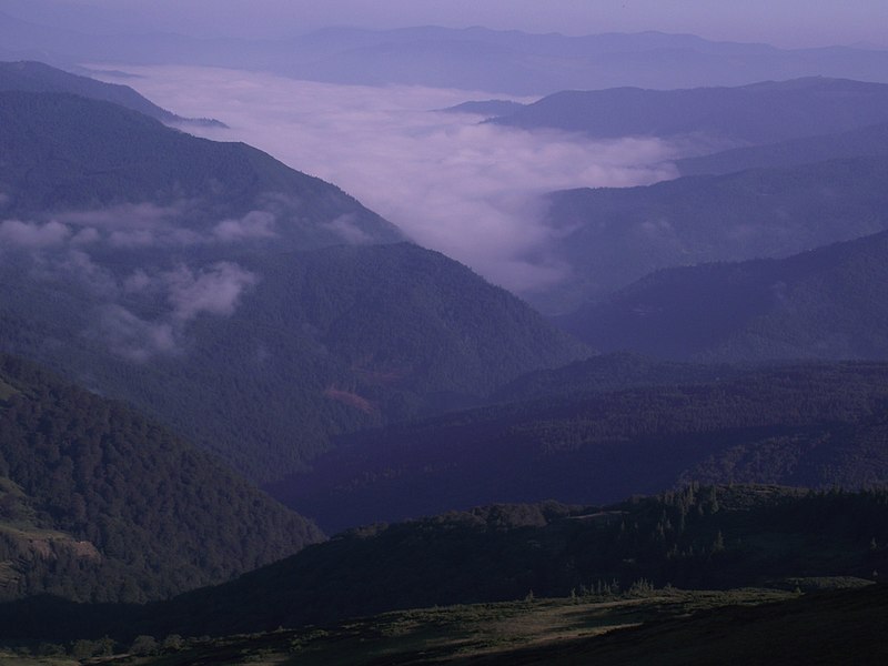 Гора Велика Куртяска (Свидівець)